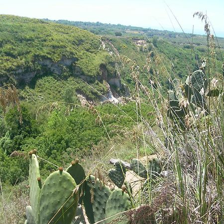 Azienda Agrituristica Carida Zaccanopoli 외부 사진