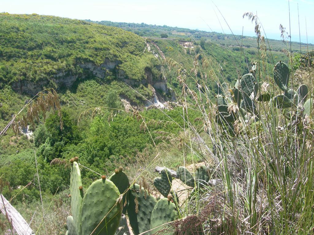 Azienda Agrituristica Carida Zaccanopoli 외부 사진